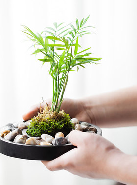 古都乌金石小摆件书房办公盆景