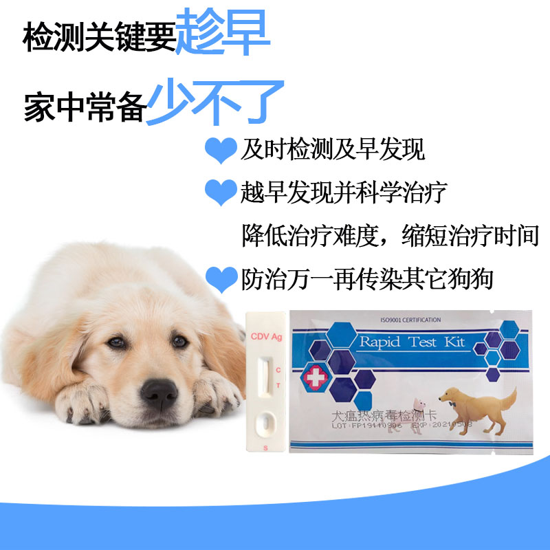 芮路宠物试纸犬瘟热 cdv试纸狗狗瘟病毒测试纸犬用检测卡盒装-图1