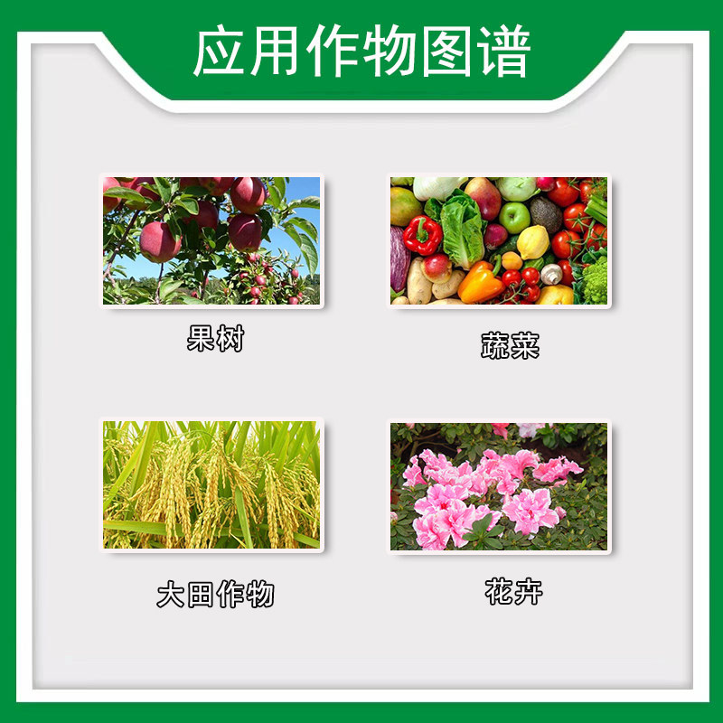 以色列进口诺普丰19-19-19大量元素水溶肥瓜果蔬菜冲施叶面肥25KG,淘宝优惠券,粉丝福利购,淘宝优惠卷