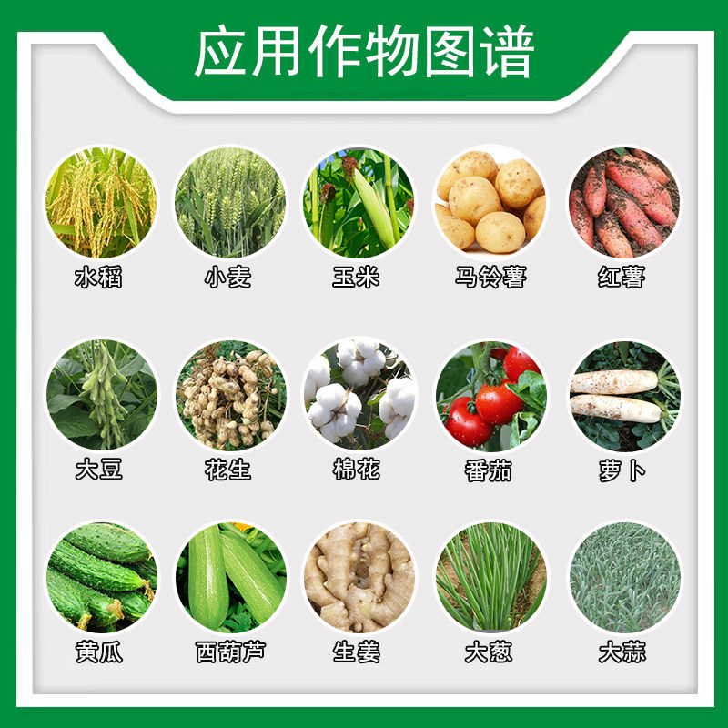 金回报 聚天门冬氨酸有机水溶肥料蔬菜增产增收叶面肥冲施肥,淘宝优惠券,粉丝福利购,淘宝优惠卷