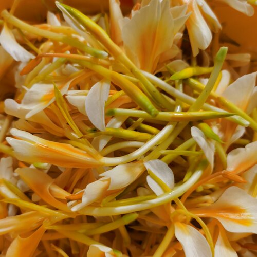 黄野姜花新鲜 草果花蝴蝶花纯露酵素酿酒花茶煲汤火锅 - 图0