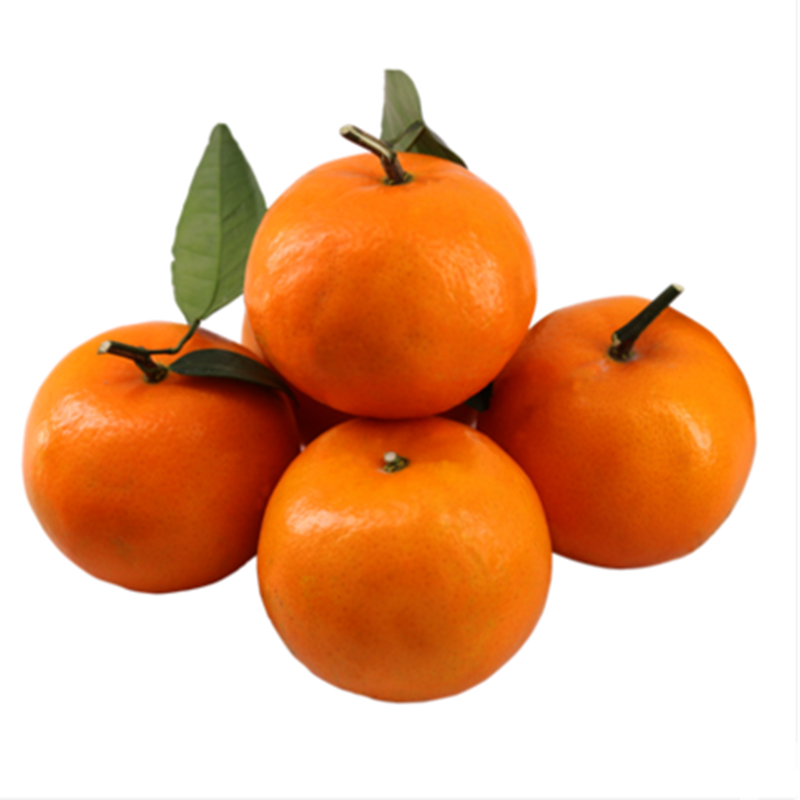 Guangxi Wuming Wogan flagship store non-drug special grade