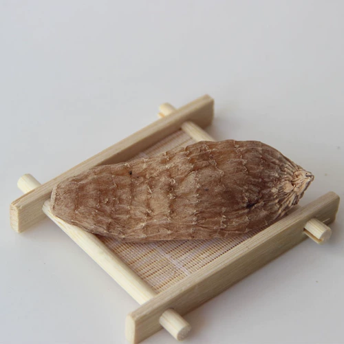 Северо -восточное выращивание горы Чанбай