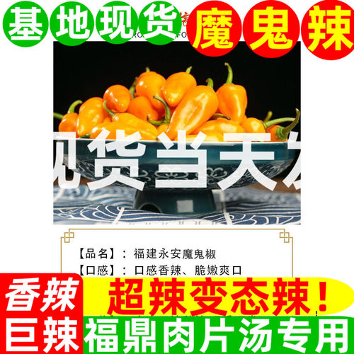 魔鬼辣椒超辣永安黄椒灯笼椒小米泡椒朝天椒正宗变态特辣新鲜农家 - 图2