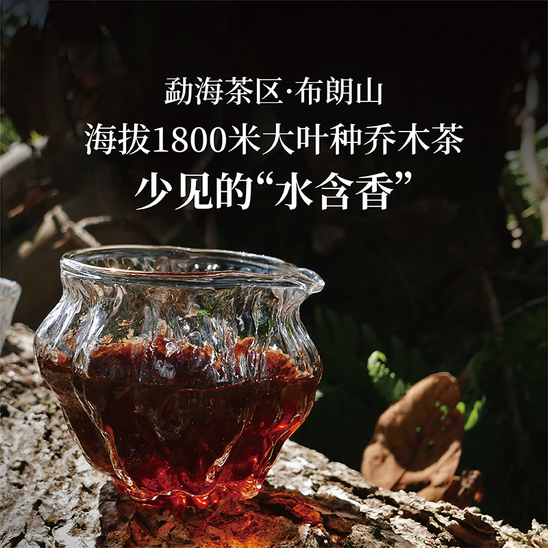 【入山系列】2022布朗山水韵醇香普洱熟茶散茶100克 水含香 - 图0