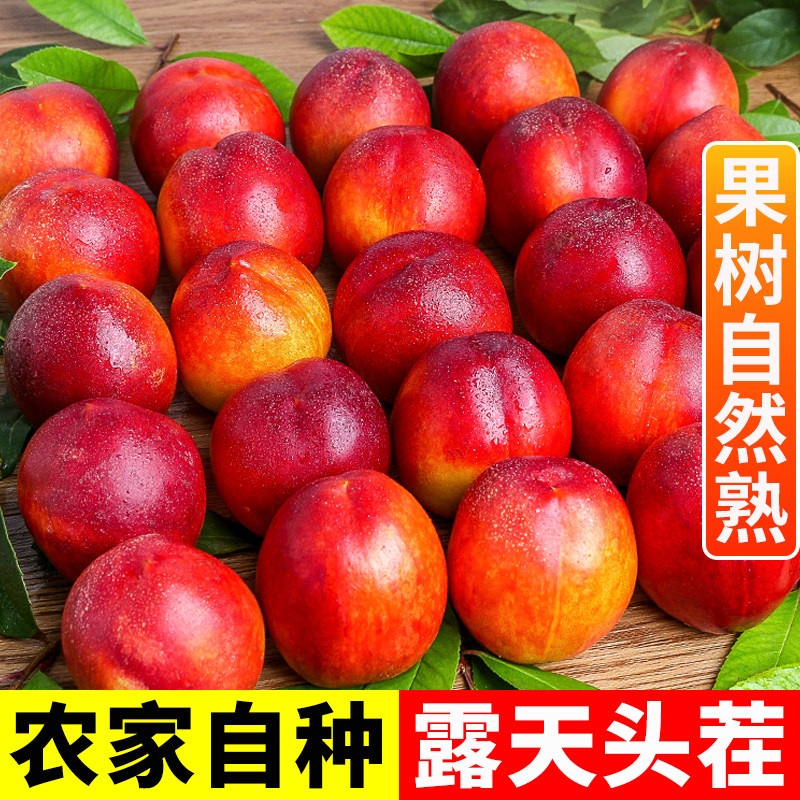 黄心油桃5斤应季大桃子新鲜水果当季水密桃整箱包邮孕妇蜜脆桃10