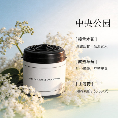 丽思卡尔顿香薰机内芯散香器替换芯五星级酒店扩香氛无水黑兰花 - 图1