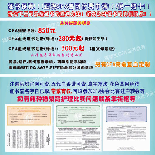 注册CFA猫证书美国CFA猫舍证书注册代办WCF TICA血统证书保真注册 - 图1