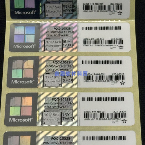 windows11/10/7专业版家庭旗舰企业版LTSC工作站版激活密钥正版标 - 图3