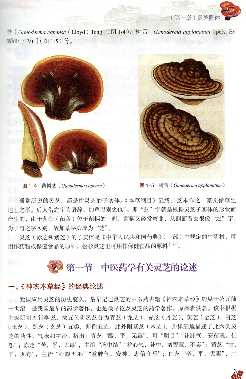 正版现货 灵芝的药理与临床 灵芝 灵芝的临床作用 林志彬 杨宝学主编 北京大学医学出版社9787565922862 - 图3