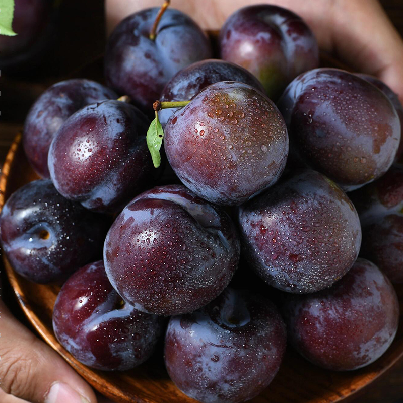 【不仅有机而且富硒】青红脆李 0农残高营养李子 现摘/顺丰空运 - 图2