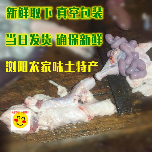 【医学实验标本 猪卵巢猪阴户 猪欢喜 】 母猪外阴生殖器 猪阴道 - 图1