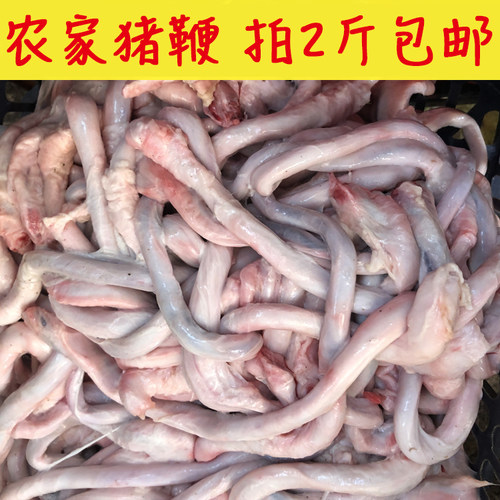 【生鲜猪鞭 2斤装】散养新鲜猪鞭 农家猪鞭 现杀拒绝冰冻生鲜猪卵 - 图1