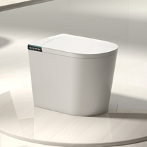 Mona Lisa Smart toilet A038 fully automatic anhydrous pressure limit 52CM integrated small family toilet 1145