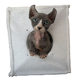 Thickened liner warm nest winter anti-collision shipping box