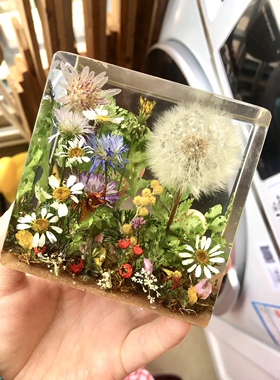【蒲公英彩色】摆件干花水晶滴胶情人七夕节创意摆件送女友送闺蜜