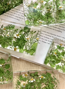 【小森林】镇纸植物标本摆件树脂干花节日礼物 尺寸：10x6x2cm