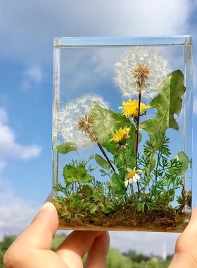 【蒲公英长方形】镇纸滴胶手工材料包节日礼物 尺寸：10x7x3cm