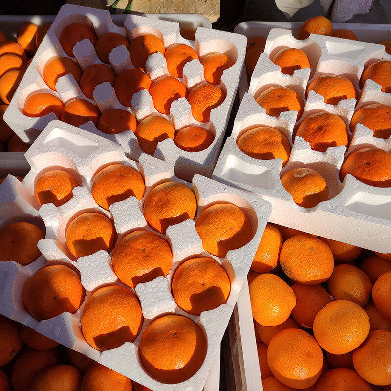 临海涌泉蜜桔早熟优质桔子无核橘子当季水果整箱送人推荐多汁饱满 - 图3