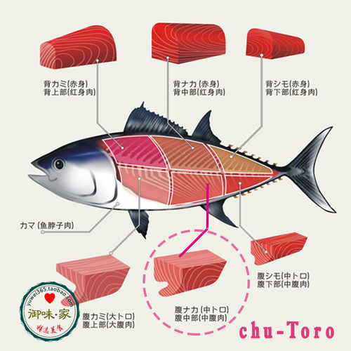 蓝旗金枪鱼中脂chu-toro 新鲜活冻超低温鱼腩中腹 高档刺身 250g - 图1