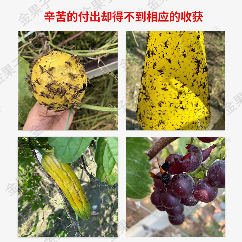 丝瓜防虫袋防鸟果袋苦瓜青瓜黄瓜保护套袋无纺布套袋育果专用袋子-图2