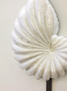 畅销贝壳套三衣帽挂钩卧室客厅