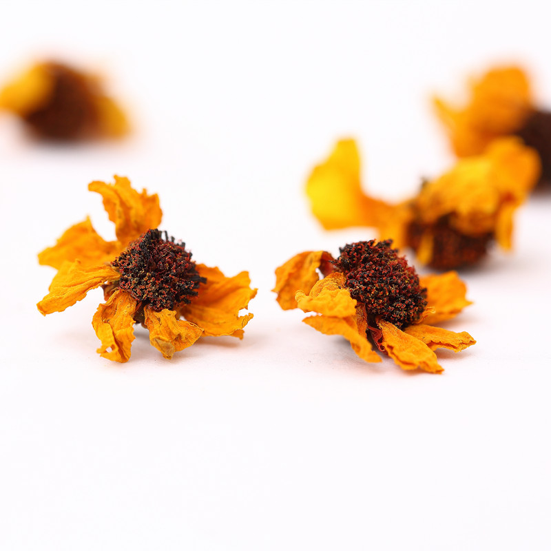 【天花板】新疆高海拔昆仑雪菊非胎菊天山血菊王冰山高寒菊花