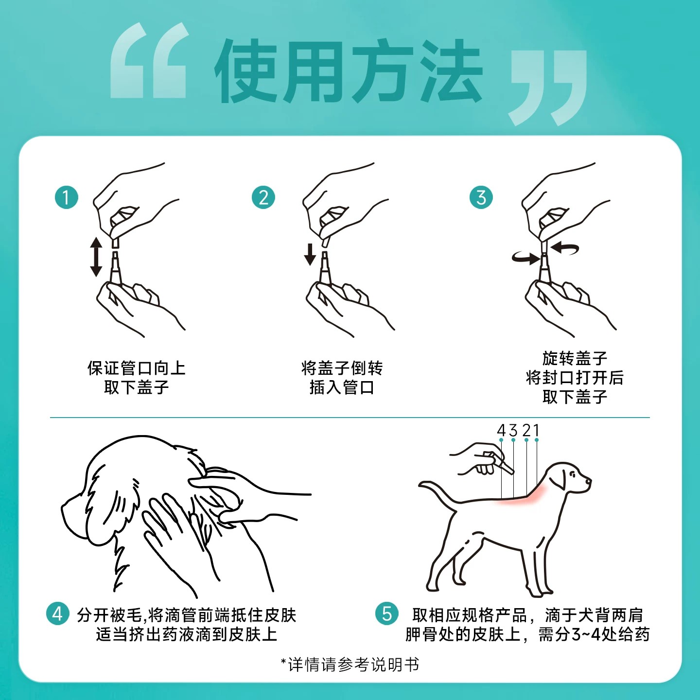 图 5