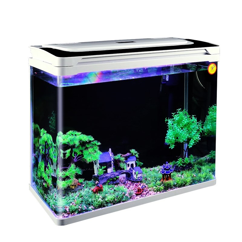 Fish tank aquarium / water tank鱼缸水箱养鱼家用水族馆游泳 - 图3