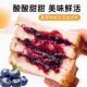 ບລູເບີຣີ Jam Zero Cane Sugar