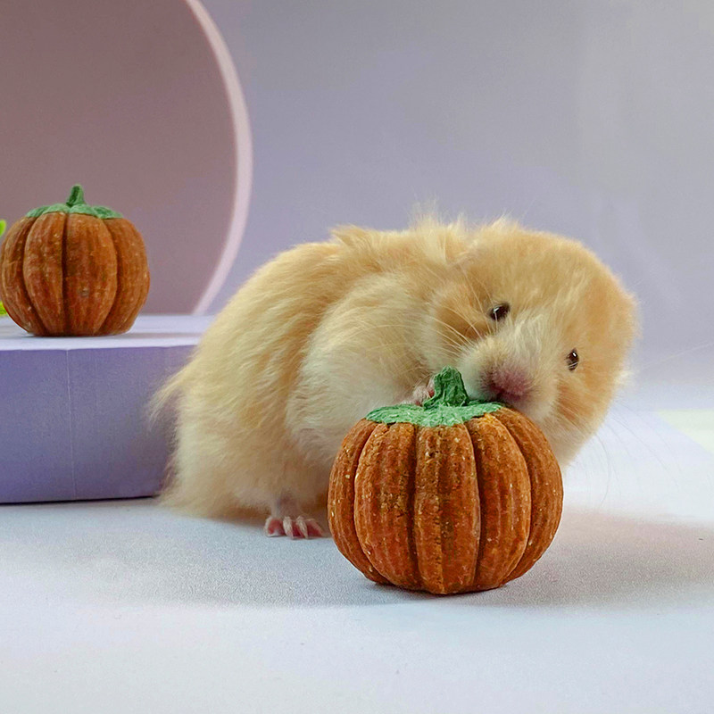 小仓鼠磨牙零食饼干小南瓜造景用品可吃草饼玩具金丝熊兔子用品,淘宝优惠券,粉丝福利购,淘宝优惠卷