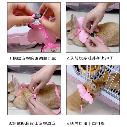 兔子牵引绳兔兔绳子用品衣服链子小宠物遛兔绳溜兔绳牵兔绳防挣脱 - 图1