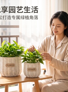 仿藤花盆编织花篮草编田园手工创意绿萝插花多肉蝴蝶兰装饰摆件