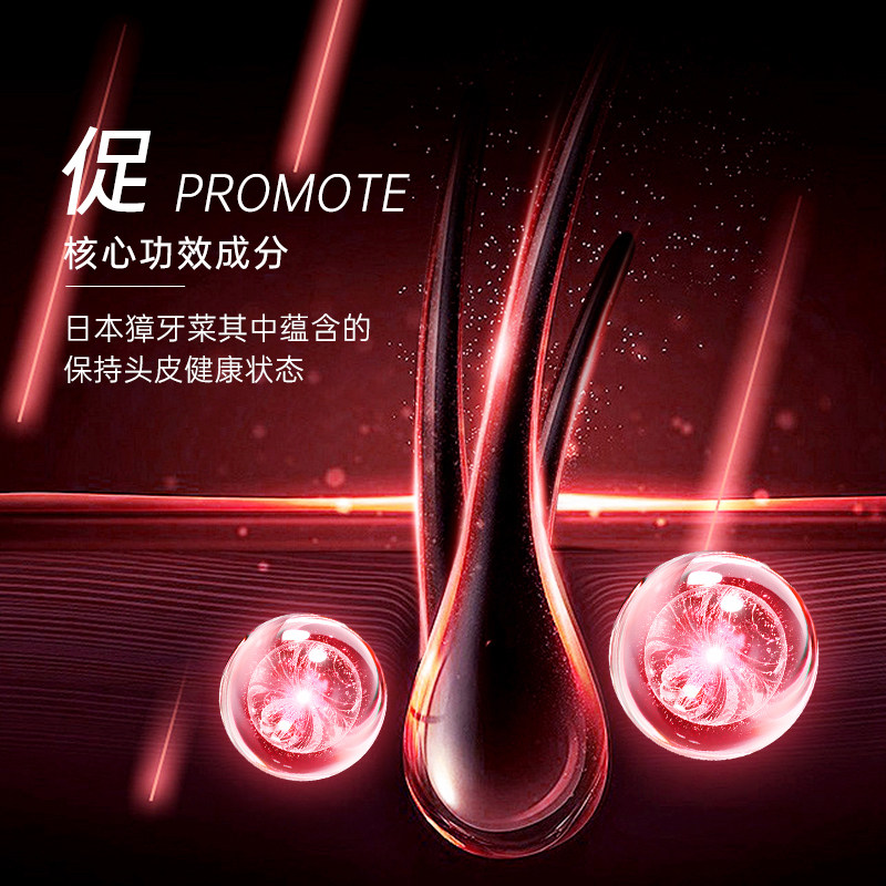 卡蓓诺防脱洗发水固发密发防脱发控油蓬松洗发露液进口