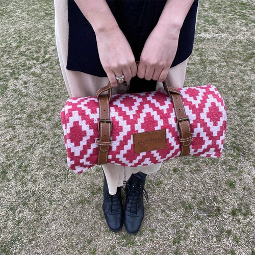 Независимый дизайнер Littledayz Picnic Cushion Dyllabal Cushion Cushion Nordic Ins Openoor Open Campaign