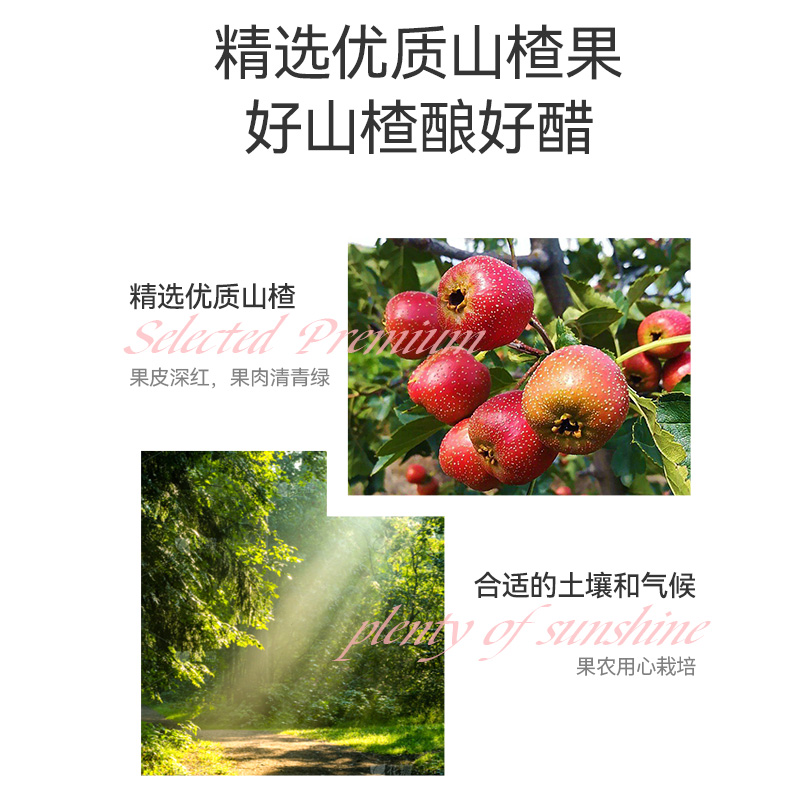 U先试用 天地壹号山楂醋饮料230ml*15罐整箱酸甜可口气泡解腻送礼 - 图2