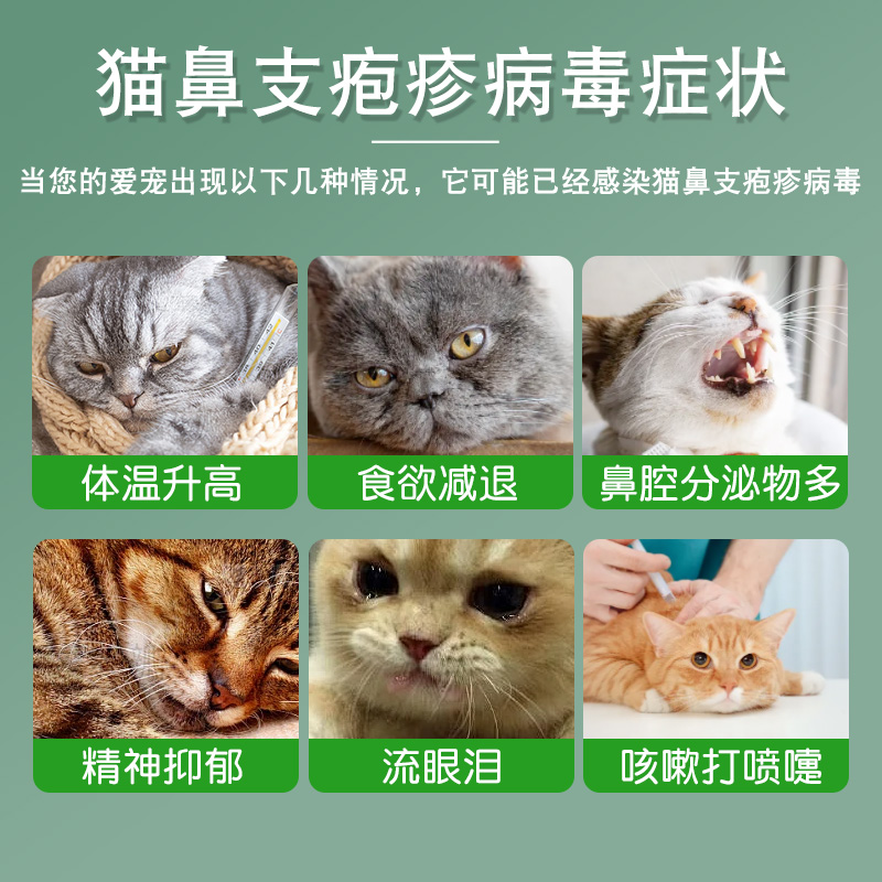 猫疱疹试纸病毒性抗原检测FHV猫鼻支检测试纸宠物猫咪测试卡检测-图0