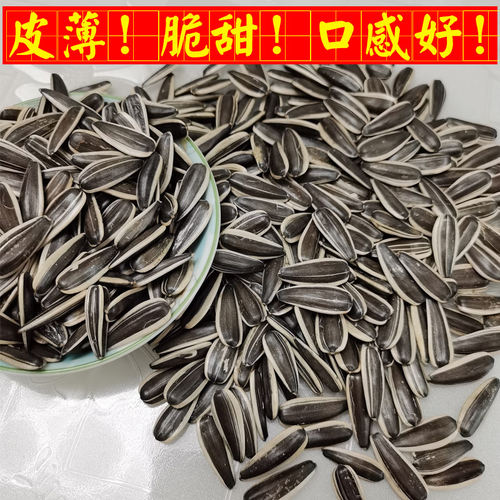 新疆生瓜子葵花子新货大颗粒籽饱满级鲜向日散装北屯特产农家自种 - 图0