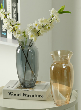 ins风简约复古中古玻璃花瓶水培鲜花插花器家居摆件桌面装饰道具