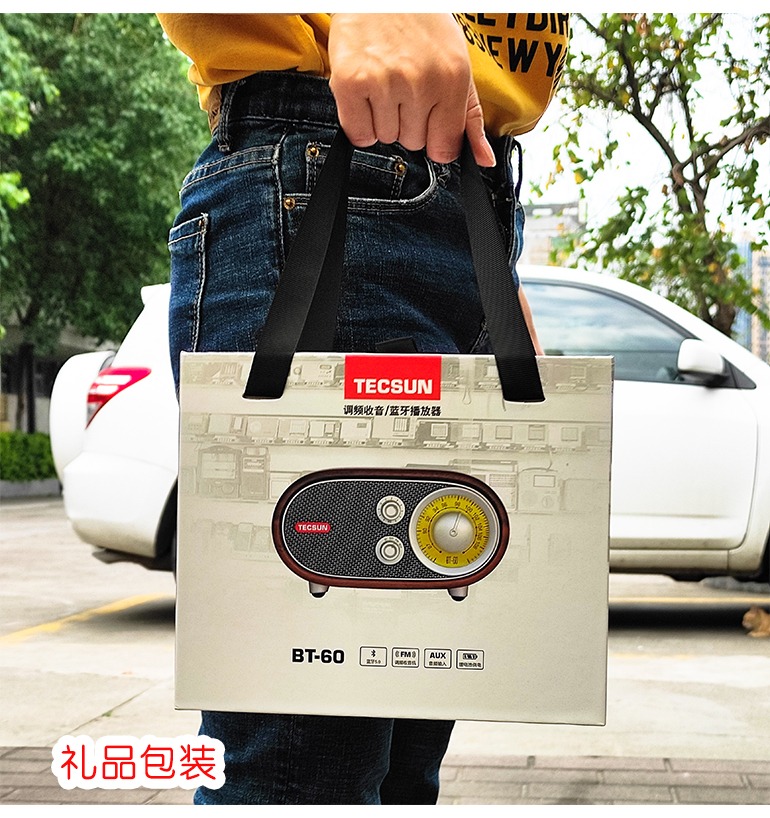 Tecsun/德生 BT-60调频复古收音机蓝牙音箱播放器小巧便携播放器-图1