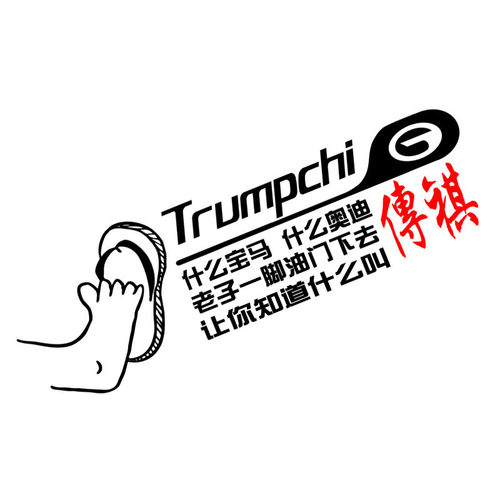 专用于传祺GS4GS3GS5GS7GS8GM6GM8GA4GA5GA6GA8车贴个性创意拉花 - 图0