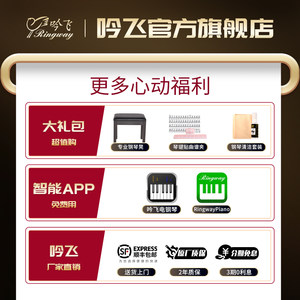 吟飞电子钢琴 88键重锤家用专业考级儿童幼师初学者入门乐器DP-10