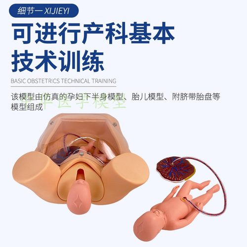 高级分娩综合技能训练模型 分娩助产示教模型 分娩机制示教模型 - 图2