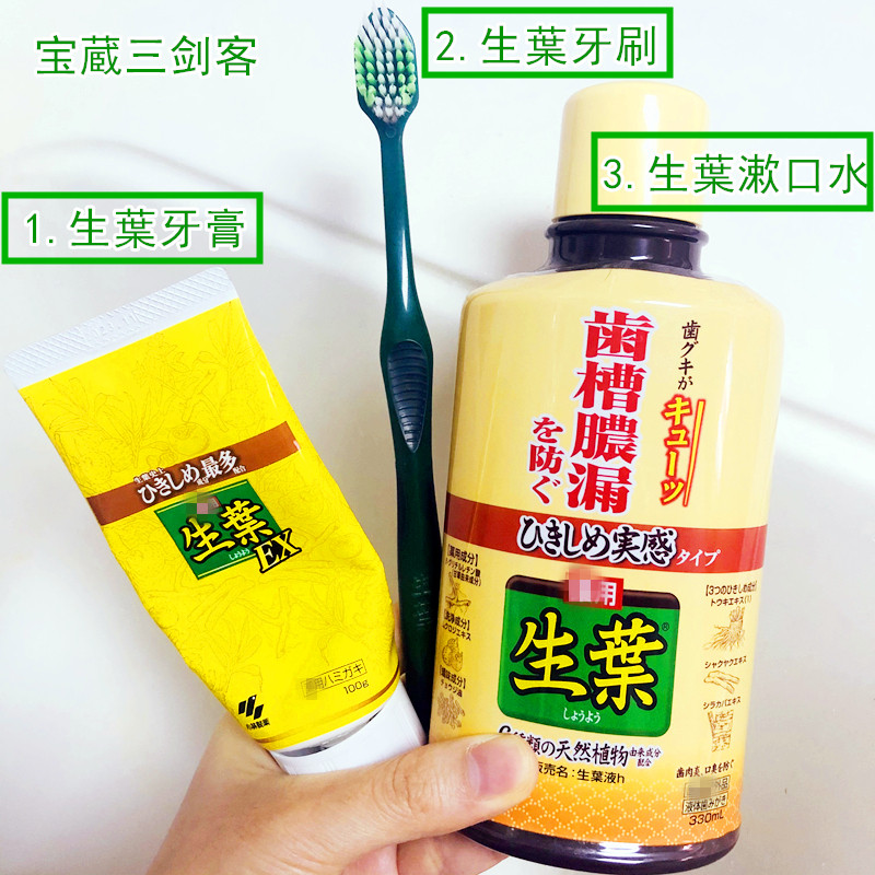 日本小林生叶齿槽脓漏漱口水 牙龈肿痛出血牙周护理清洁口气清新,淘宝优惠券,粉丝福利购,淘宝优惠卷