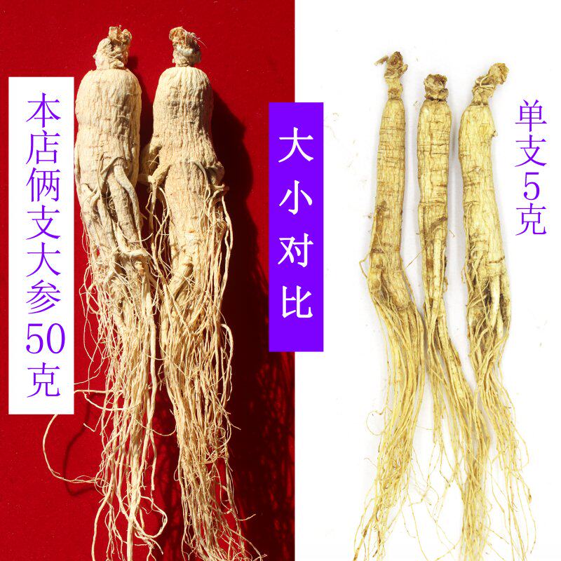 人参野山参长白山生晒参 林间人参/园参及其制品