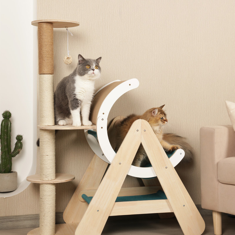 猫树玩推荐品牌 新人首单立减十元 21年6月 淘宝海外