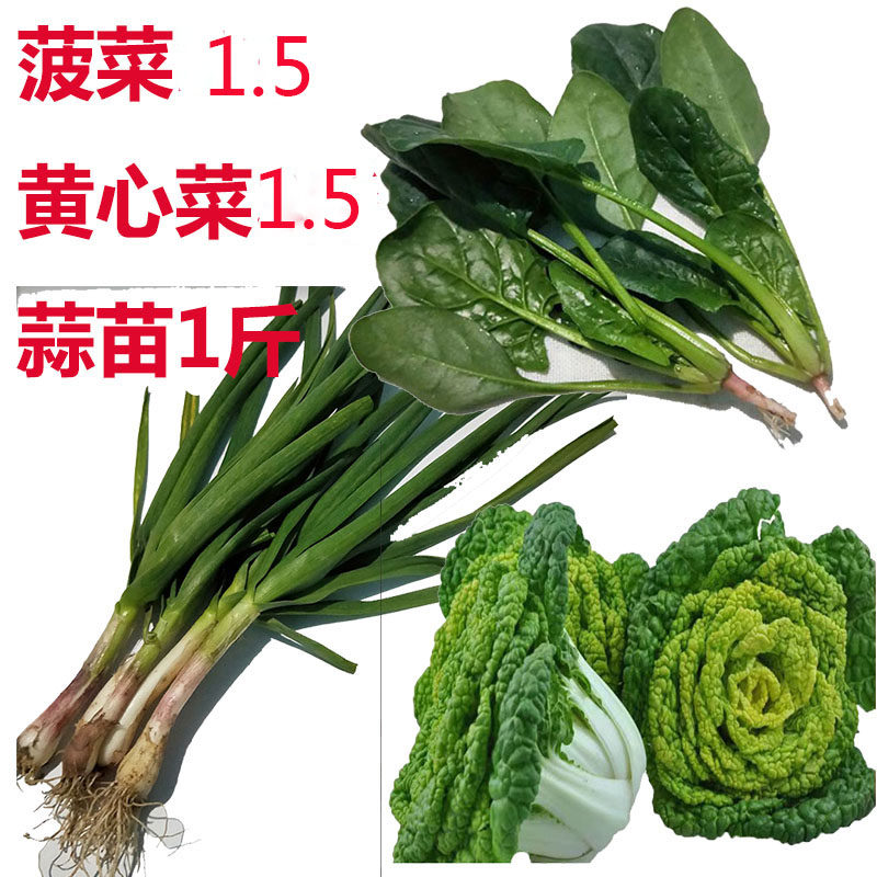 新鲜菠菜农家无农药种植组合香葱青蒜苗紫皮大蒜叶子4斤现挖蔬菜,淘宝优惠券,粉丝福利购,淘宝优惠卷