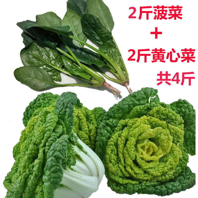 新鲜菠菜农家无农药种植组合香葱青蒜苗紫皮大蒜叶子4斤现挖蔬菜,淘宝优惠券,粉丝福利购,淘宝优惠卷