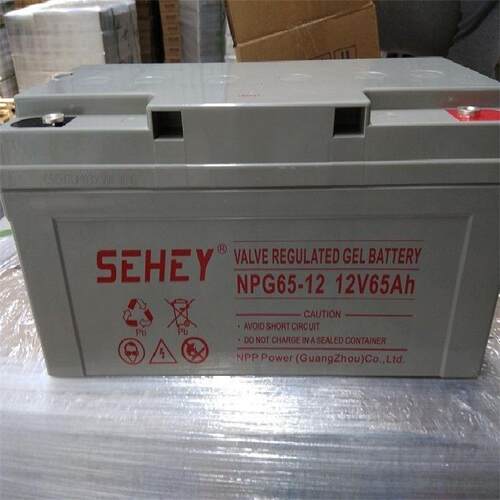 SEHEY西力蓄电池NPG100-12 胶体系列12V100AH浮充寿命8年 - 图1