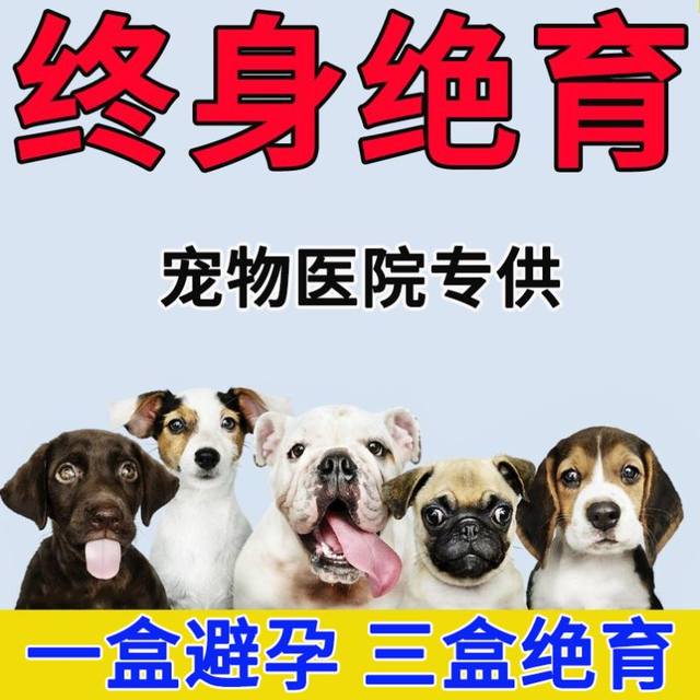 Dog contraceptive pill, emergency long-acting sterilization medicine for female dogs, male dogs and cats, for native cats and dogs to prevent pregnancy